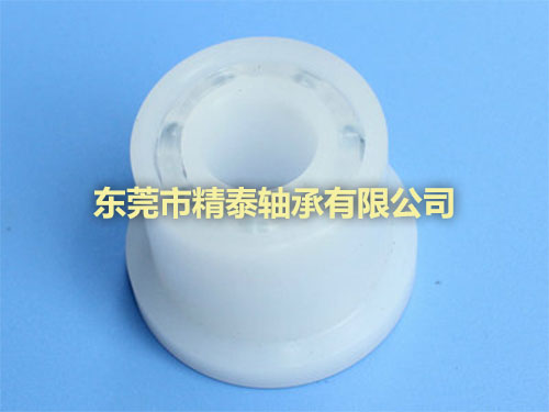 非標擋邊塑料軸承