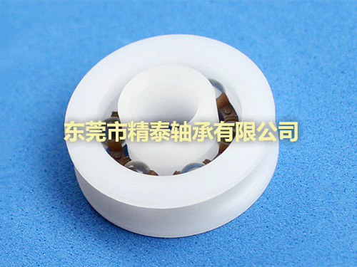 非標(biāo)塑料軸承