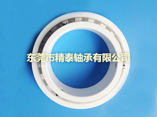 非標(biāo)白塑料軸承
